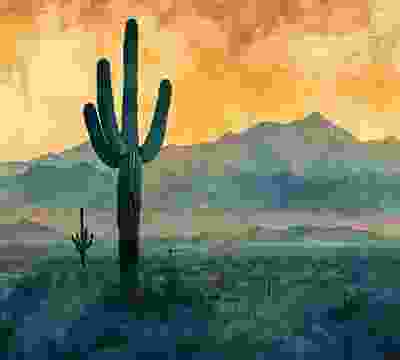 Portfolio Taxonomy Image